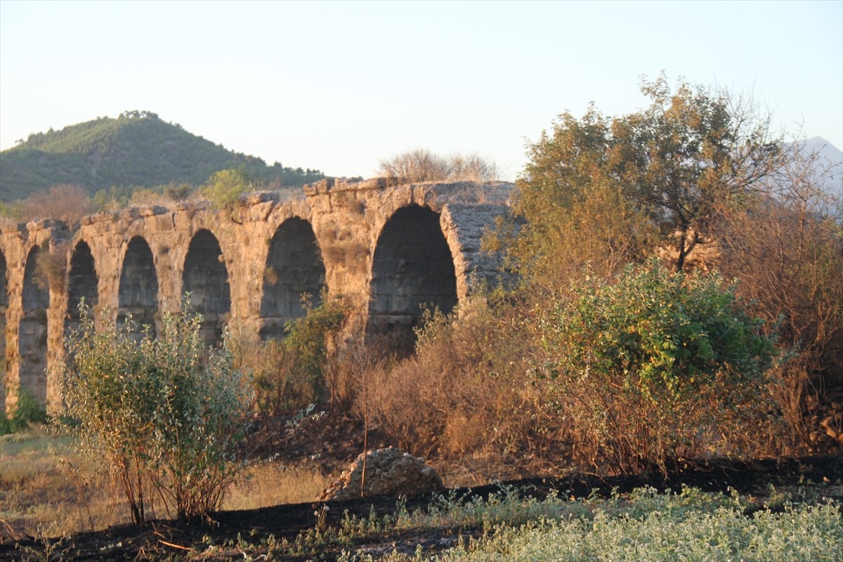 Antalya'nın Serik ilçesinde Aspendos Antik Kenti su kemerlerinin yakınındaki otluk ve çalılık...