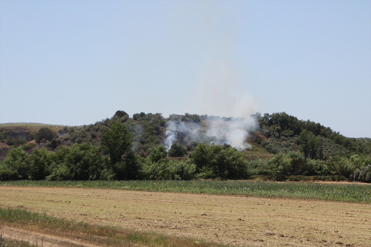 Antalya'nın Serik ilçesinde çıkan anız ve zeytinlik yangını söndürüldü. İtfaiye ekiplerinin...