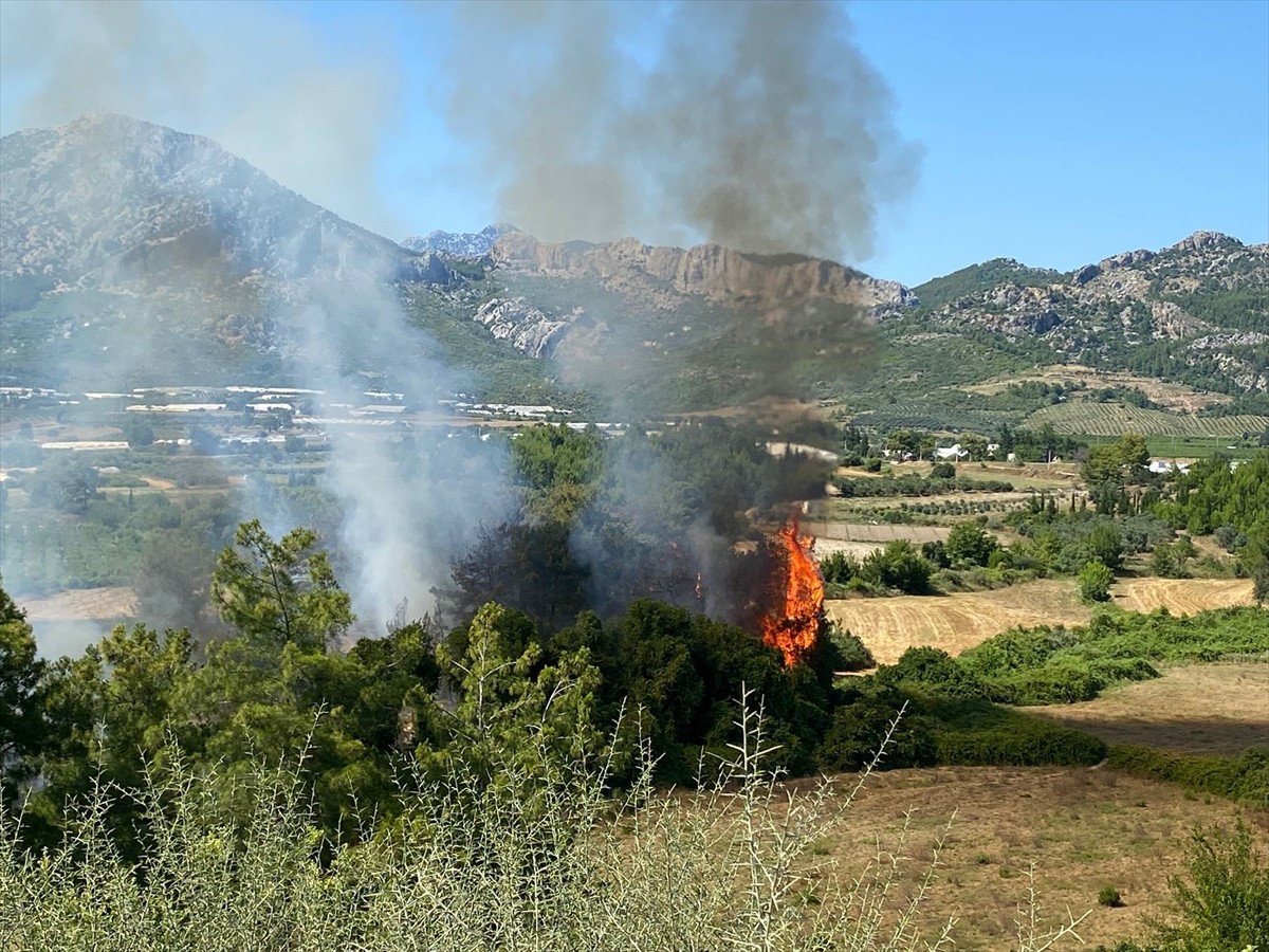 Antalya'nın Serik ilçesinde ormanlık alanda çıkan yangın kontrol altına alındı.