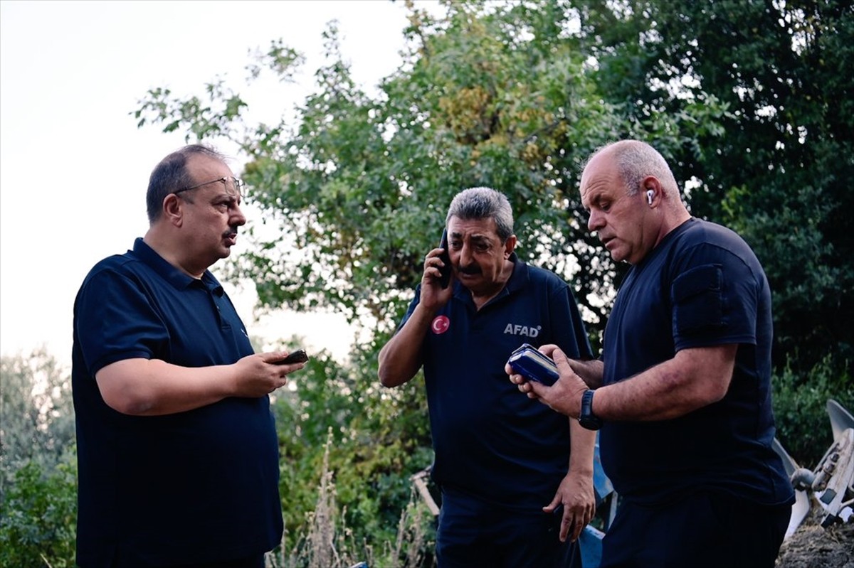 Aydın'ın Efeler ve Bozdoğan ilçelerinde çam ağacı, makilik ve zeytinlik alanlarda çıkan...