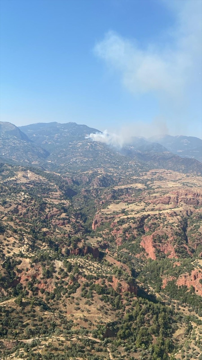 Aydın'ın Efeler ve Bozdoğan ilçelerinde çam ağacı, makilik ve zeytinlik alanlarda çıkan...