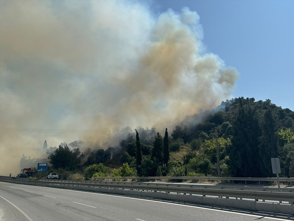 Aydın'ın Söke ilçesinde Yenikent Mahallesi'nde tarım arazisinde henüz belirlenemeyen nedenle...