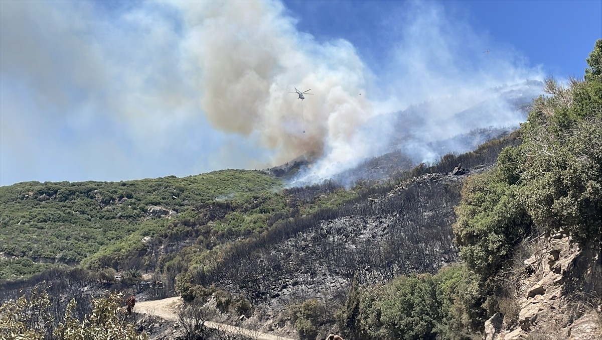 Aydın'ın Sultanhisar ilçesinde ziraat alanında çıkan yangına müdahale ediliyor.