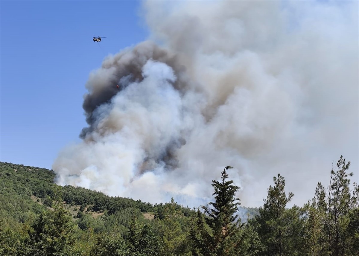 Balıkesir'in Kepsut ilçesinde çıkan orman yangınına, havadan ve karadan müdahale ediliyor.