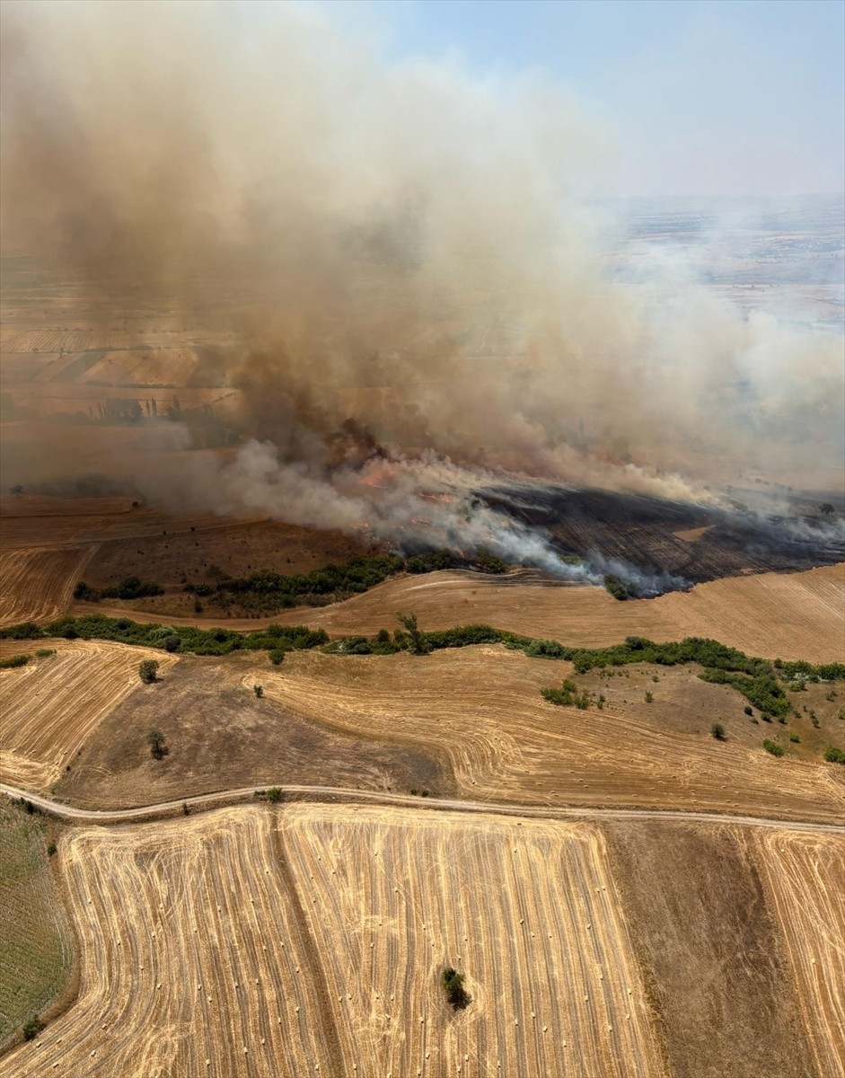 Balıkesir'in Kepsut ilçesinde tarım arazisinde çıkan yangın, kontrol altına alınmaya...