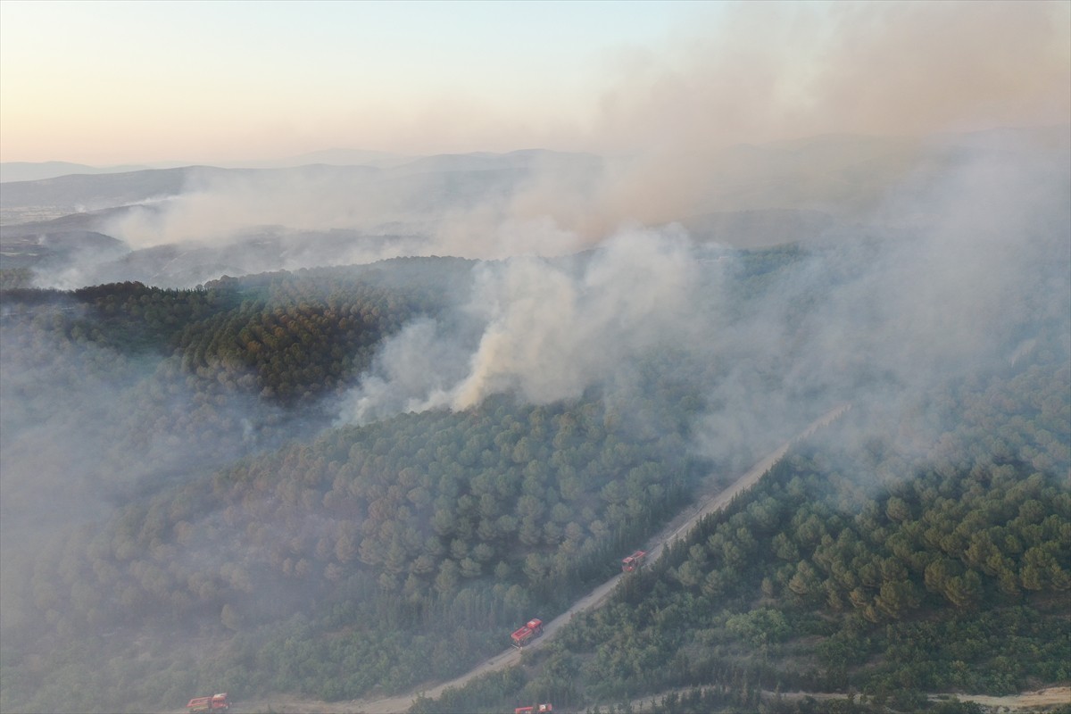 Balıkesir'in Kepsut ilçesinde tarım arazisinde çıkıp ormanlık alana sıçrayan yangın, kontrol...