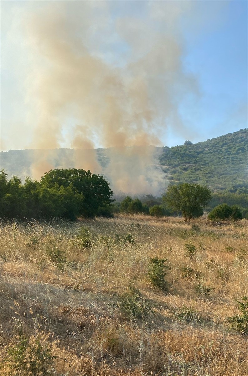 Balıkesir'in Sındırgı ilçesinde tarım arazisinde çıkan yangın, kontrol altına alınmaya...