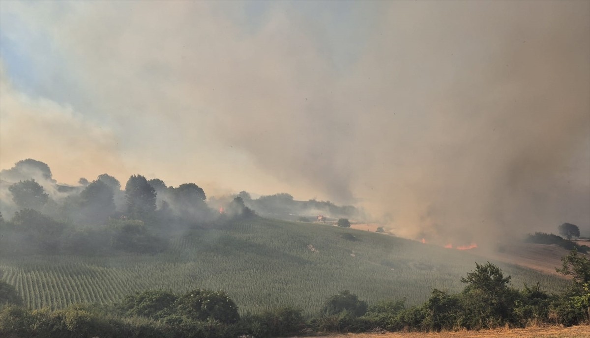  Balıkesir'in Susurluk ilçesinde, arazide çıkan yangın, havadan ve karadan müdahaleyle kontrol...
