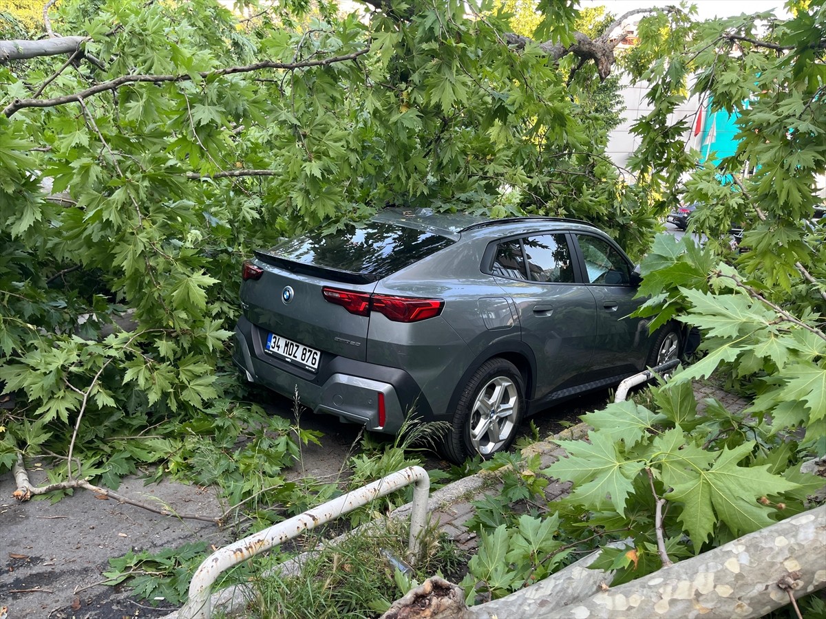 Beşiktaş'ta Türkali Mahallesi Nüzhetiye Caddesi'nde, üzerine ağaç devrilen 3 araç hasar...