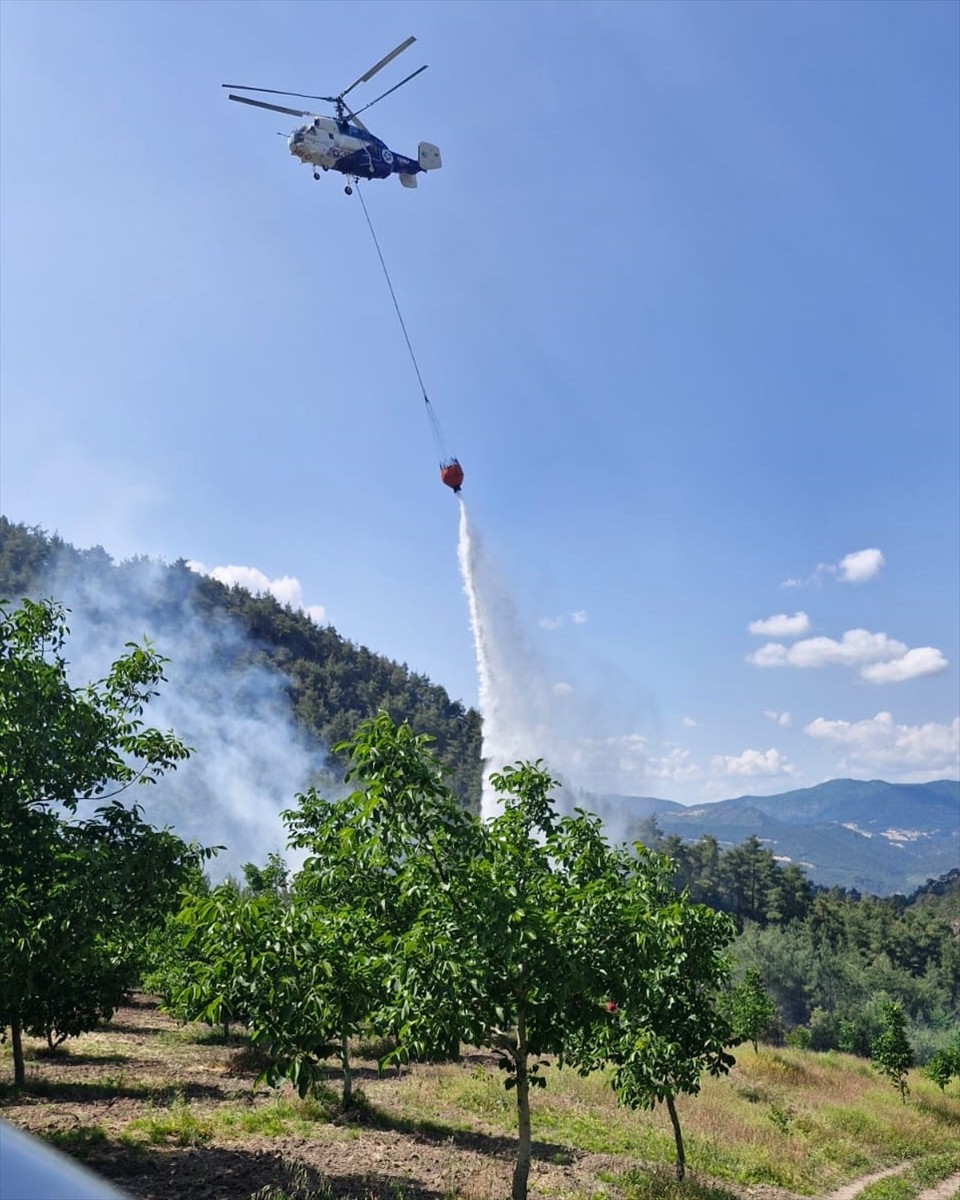 Bilecik'in Gölpazarı ilçesinde çıkan orman yangını ekiplerin müdahalesiyle söndürüldü.
