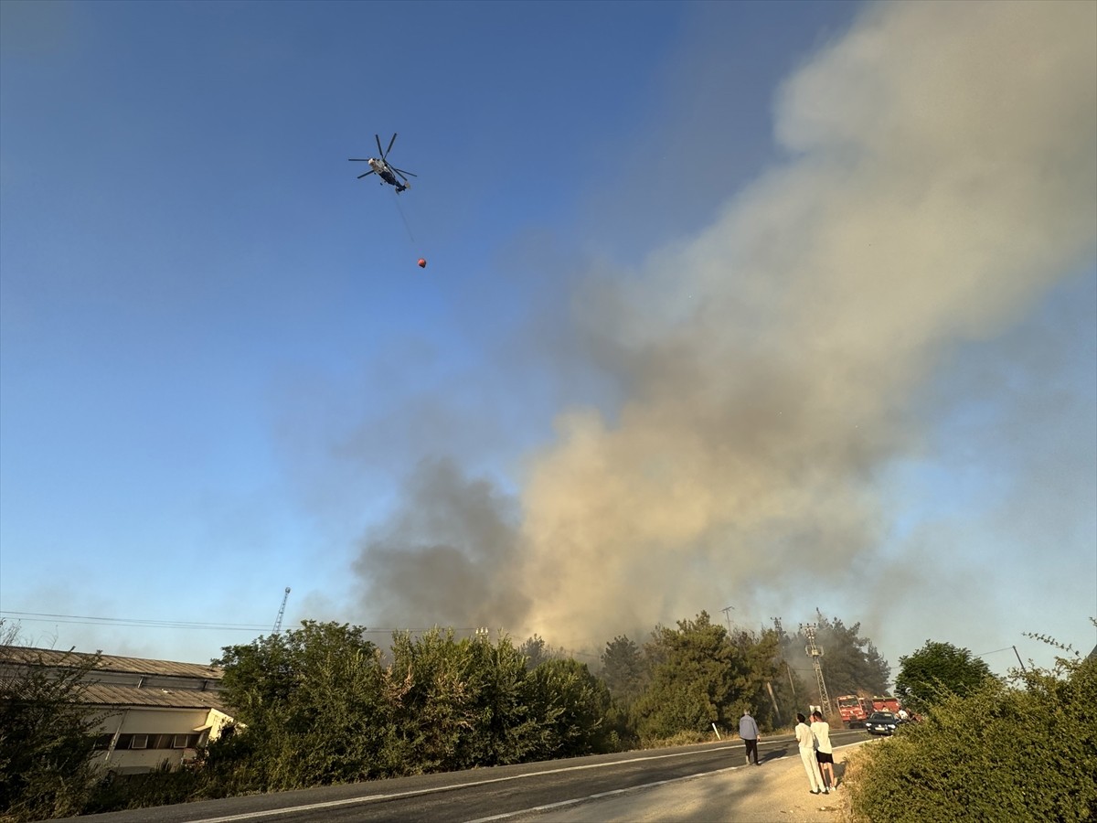 Bilecik'in Osmaneli ilçesindeki ormanlık alanda çıkan yangın, havadan ve karadan müdahaleyle...