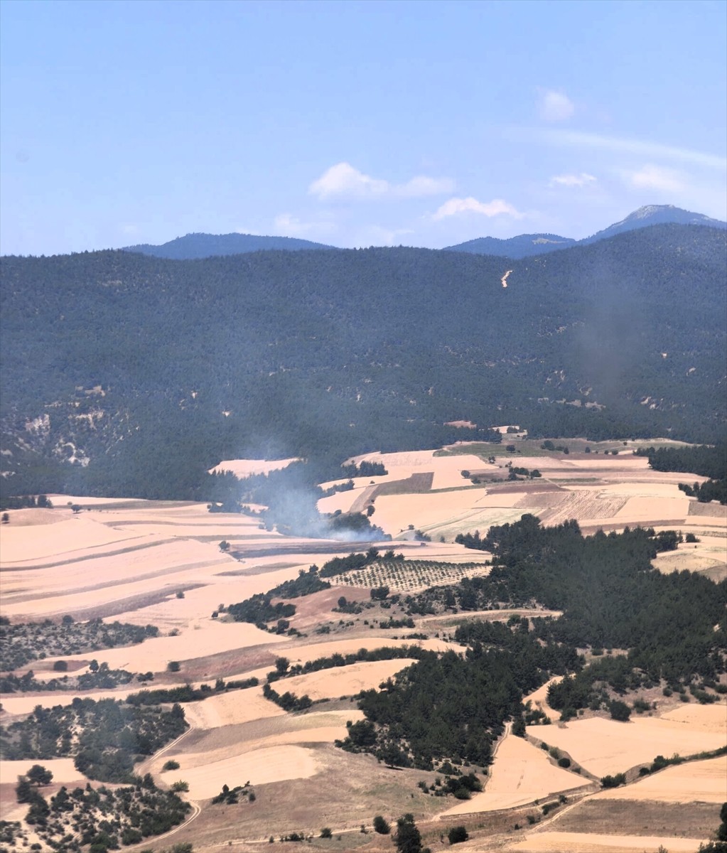 Bilecik'te ormanlık alan ile buğday ekili tarlada çıkan yangın kontrol altına alındı. Bölgede...