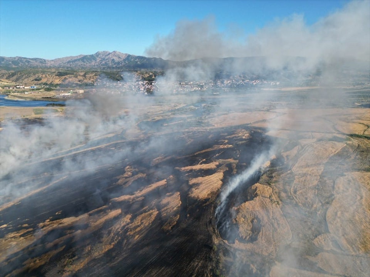 Bingöl'de 2 noktada çıkan yangında, buğday ekili 260 dönüm alan zarar gördü.