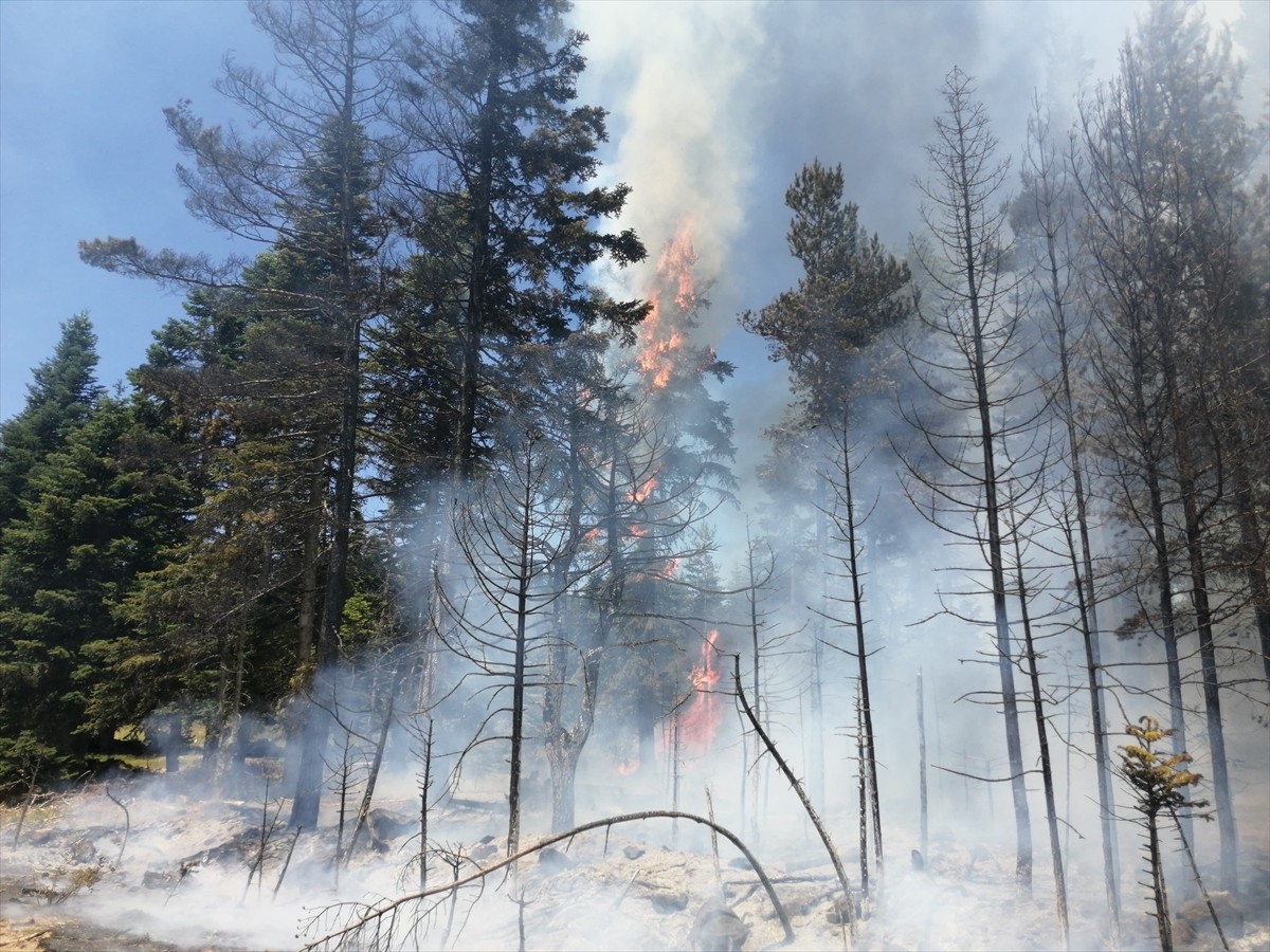 Bolu'nun Gerede ilçesine bağlı Ağızören mevkisinde ormanlık alanda çıkan yangın, ekipler...