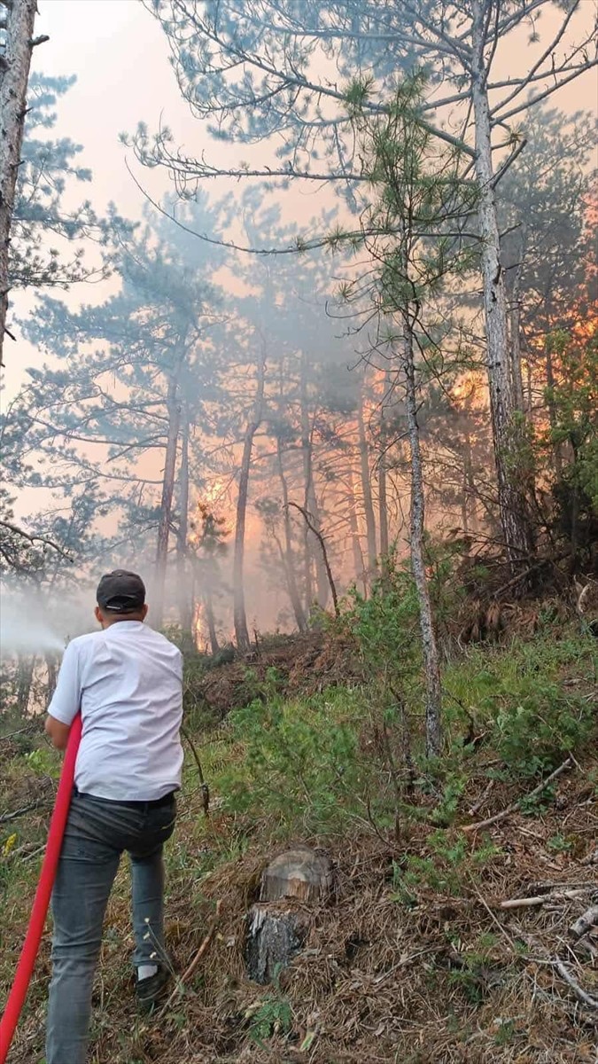 Bolu'nun Gerede ilçesine bağlı Ağızören mevkisinde ormanlık alanda çıkan yangın, ekipler...