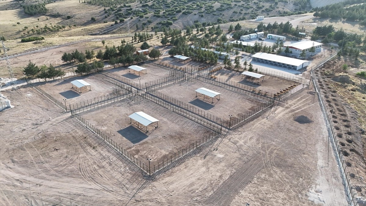 Burdur'da Sahipsiz Hayvanlar Rehabilitasyon, Bakım Evi ve Doğal Yaşam Alanı faaliyete geçti.