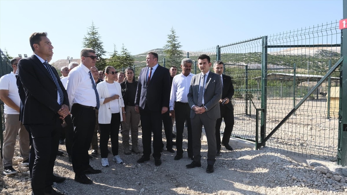 Burdur'da Sahipsiz Hayvanlar Rehabilitasyon, Bakım Evi ve Doğal Yaşam Alanı faaliyete geçti.