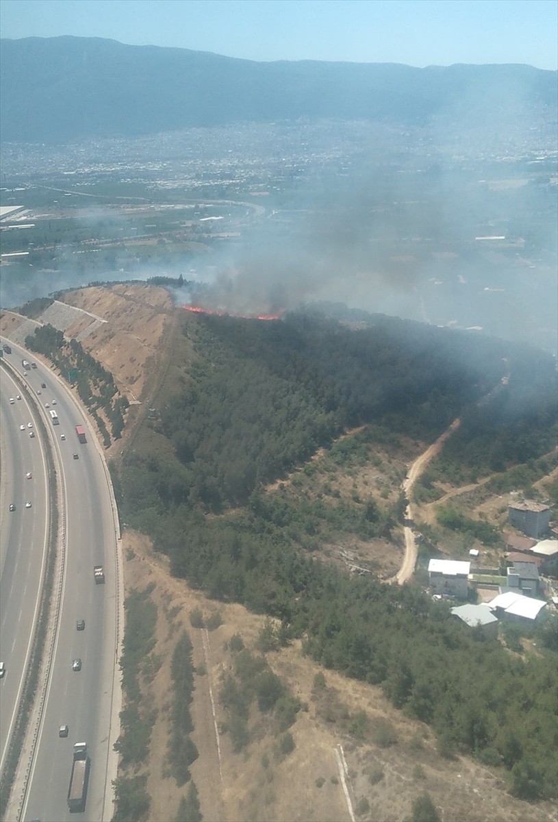 Bursa'da tarım alanında çıkan yangının kontrol altına alınması için çalışma...