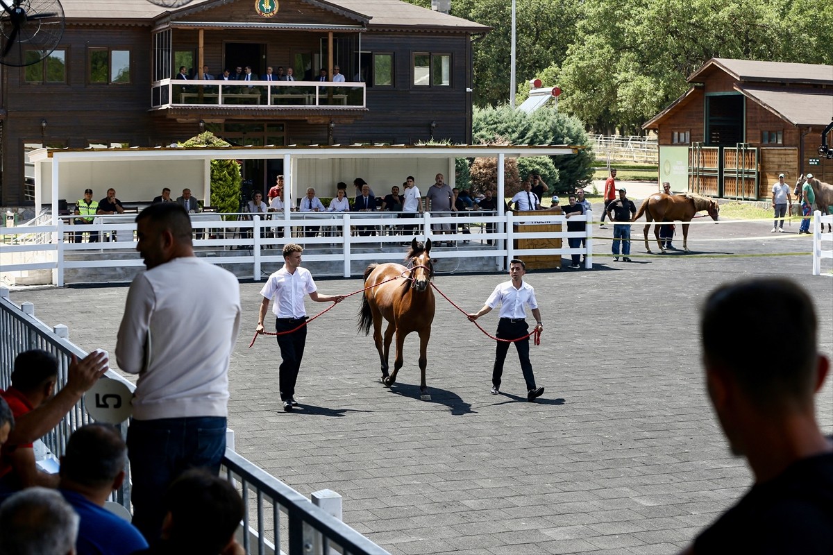 Bursa'da, Tarım İşletmeleri Genel Müdürlüğü (TİGEM) Karacabey Tarım İşletmesi tarafından...