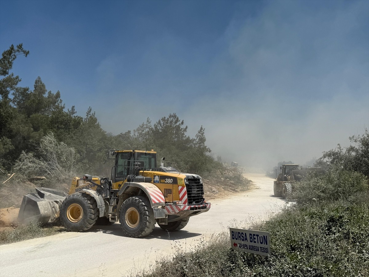 Bursa'nın Nilüfer ilçesinde çıkan orman yangınına havadan ve karadan müdahale ediliyor.