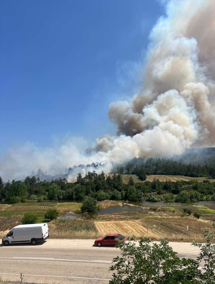 Bursa'nın Orhaneli ilçesinde anızda başlayan daha sonra ormanlık alana sıçrayan yangına, havadan...