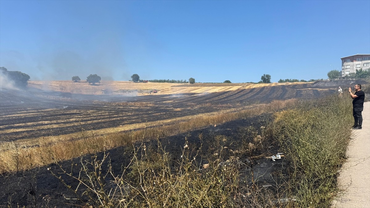Bursa'nın Osmangazi ilçesinde çıkan anız yangını söndürüldü.