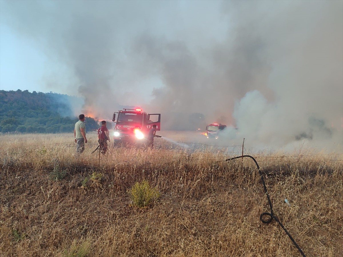 Çanakkale'nin Ayvacık ilçesi yakınlarındaki tarım arazisinde çıkan yangına müdahale...