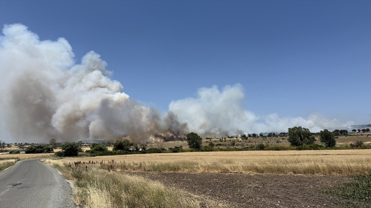 Çanakkale'nin Çan ilçesinde tarım arazisinde çıkan yangın, havadan ve karadan müdahaleyle...