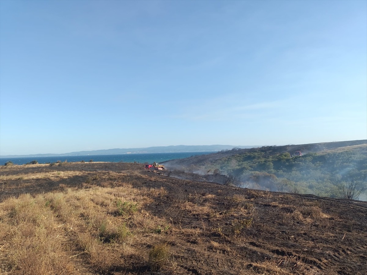 Çanakkale'nin Gelibolu ilçesinde çıkan yangında, 100 dönüm buğday ekili alan ve 150 dönüm makilik...