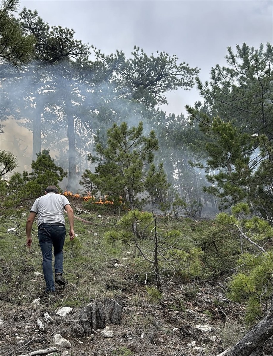 Denizli'nin Çameli ilçesinde çıkan orman yangını ekiplerin müdahalesiyle söndürüldü.