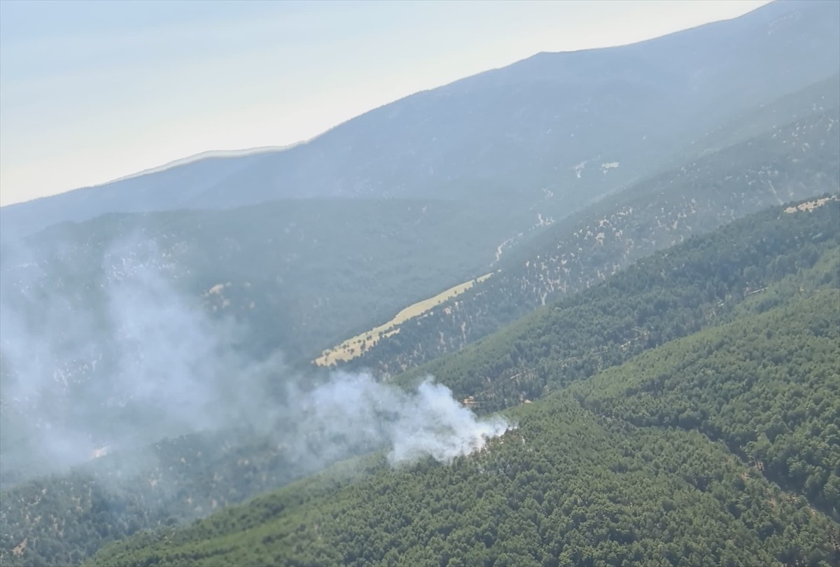 Denizli'nin Çivril ilçesinde çıkan orman yangınına havadan ve karadan müdahale ediliyor.