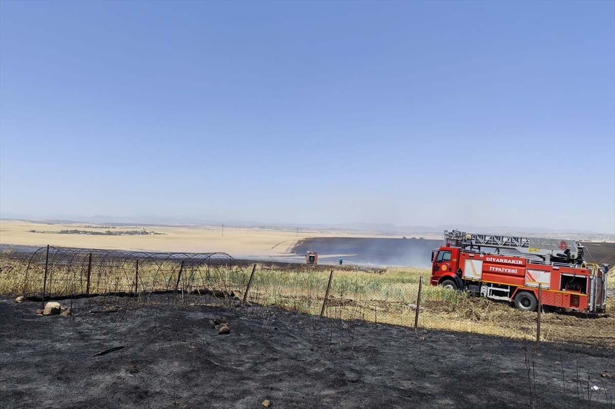 Diyarbakır'ın Kocaköy ilçesinde buğday ve arpa ekili alanda çıkan yangın itfaiye ekiplerince...