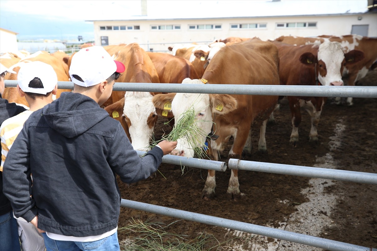 Erzurum'da Aile ve Sosyal Hizmetler İl Müdürlüğü, İl Tarım ve Orman Müdürlüğü ve Atatürk...
