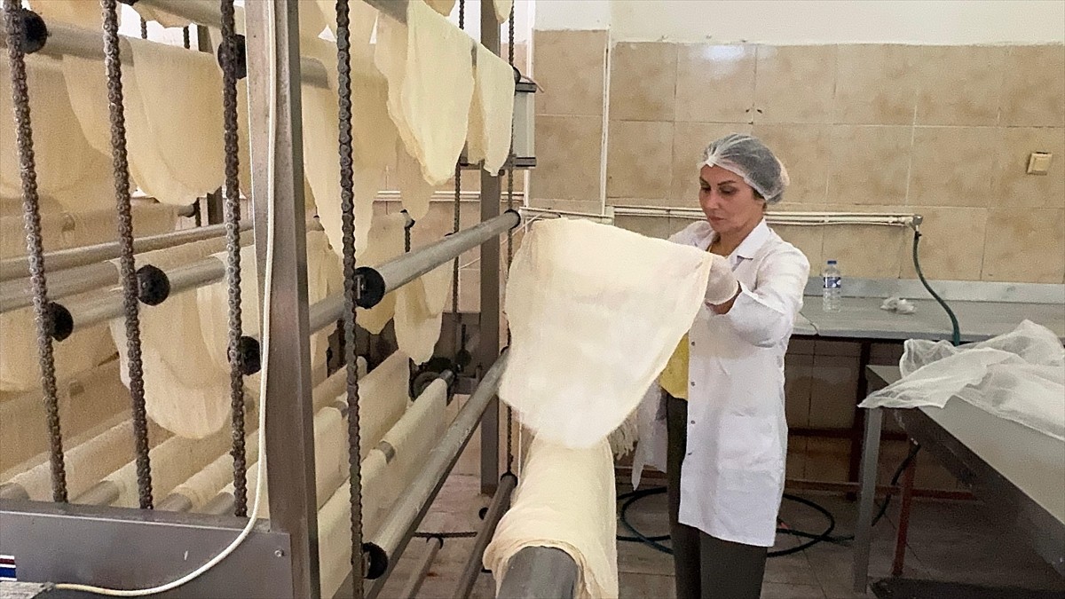 Giresun&#039;un Bulancak ilçesinde yufka imalathanesi işleten iki çocuk annesi Nesrin Güngör, 7&#039;si...