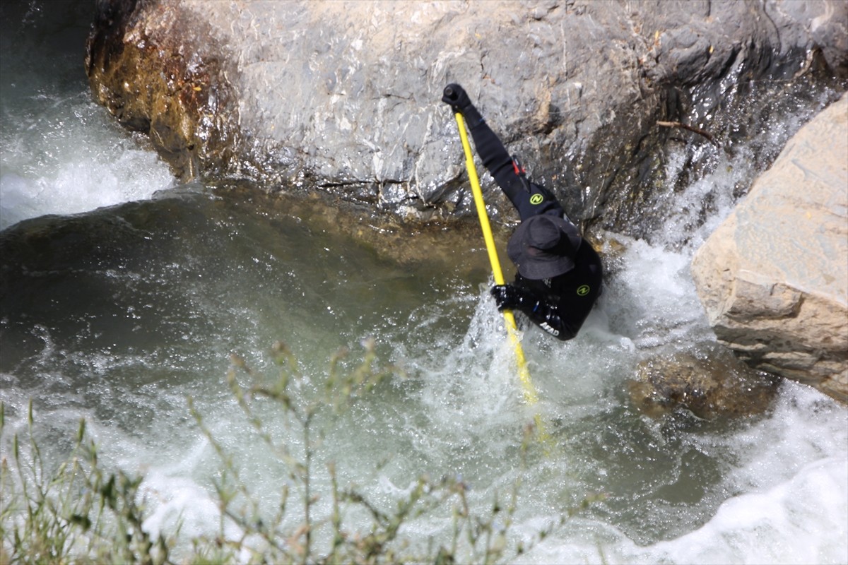 Hakkari'de 9 Nisan'da kaybolan 55 yaşındaki kadını arama çalışmaları yeniden başlatıldı.