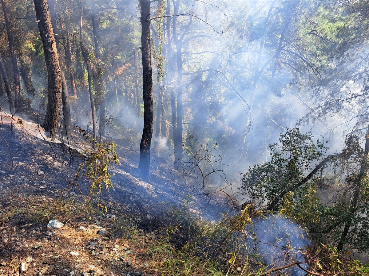 Hatay'ın Dörtyol ilçesinde ormanlık alanda çıkan yangın, ekiplerin havadan ve karadan...