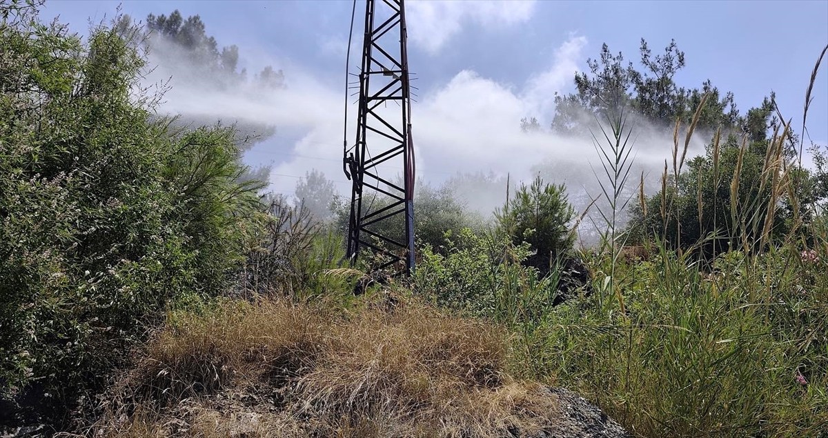 Hatay'ın İskenderun ilçesinde ormanlık alanda çıkan yangın söndürüldü.
