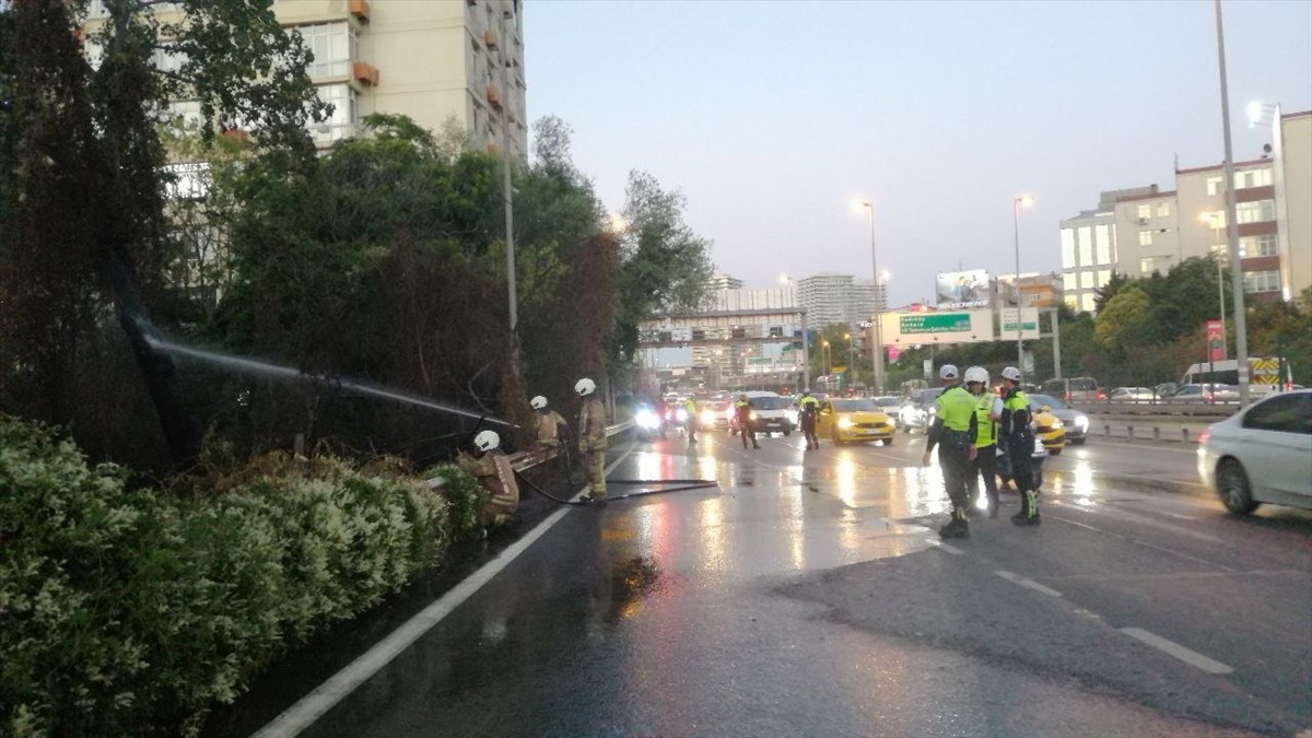 işli'de D-100 kara yolunun kenarındaki ağaçlık alanda çıkan yangın itfaiye ekiplerince...