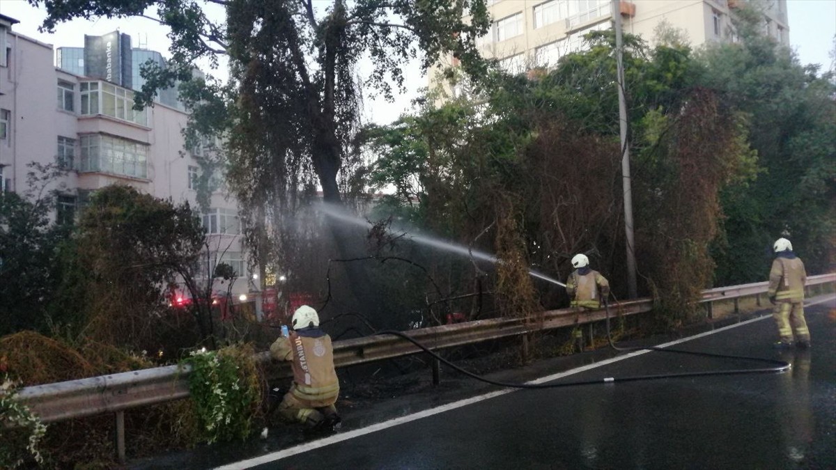 işli'de D-100 kara yolunun kenarındaki ağaçlık alanda çıkan yangın itfaiye ekiplerince...