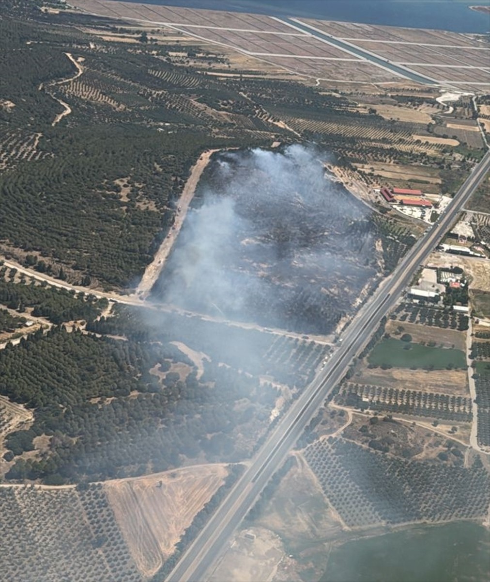 İzmir'in Aliağa ilçesinde çıkan orman yangınına havadan ve karadan müdahale devam etti. 