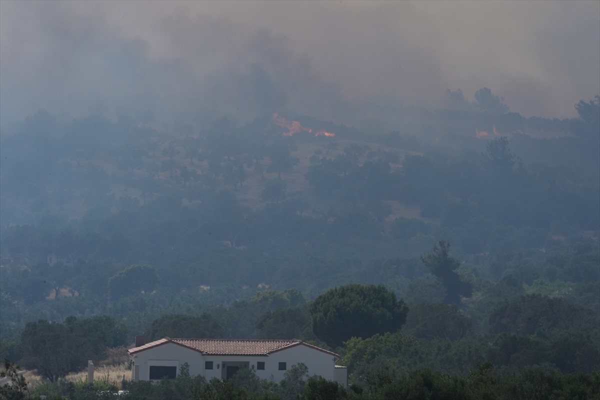 İzmir'in Aliağa ilçesinde ormanlık alanda başlayan yangına, orman bölge müdürlüğü ve itfaiye...