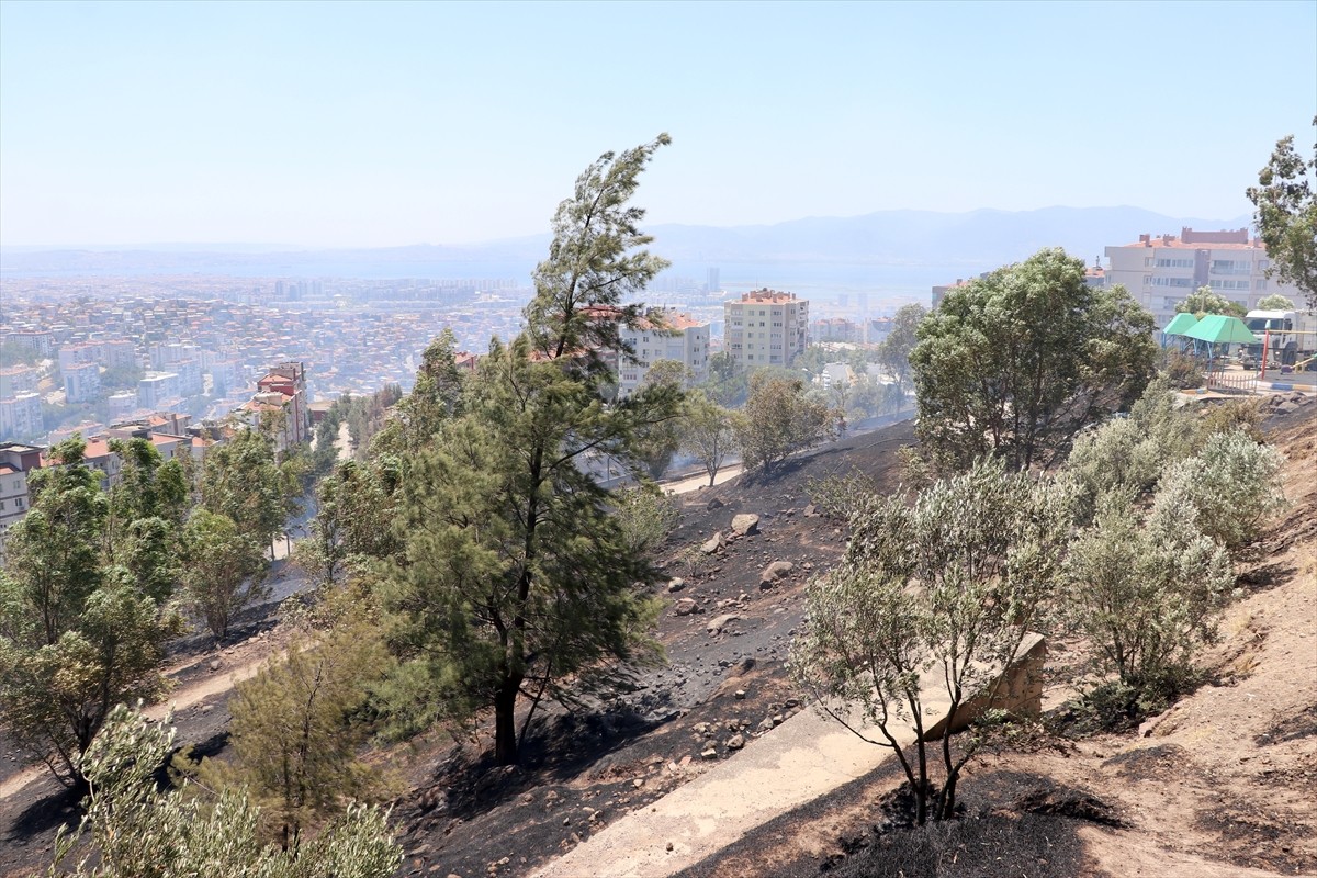 İzmir'in Çiğli ilçesinde otluk alanlarda çıkan yangın kontrol altına alındı.