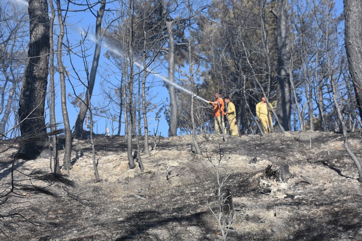 İzmir'in Kemalpaşa ilçesinde çıkan orman yangını, havadan ve karadan müdahaleyle söndürüldü....