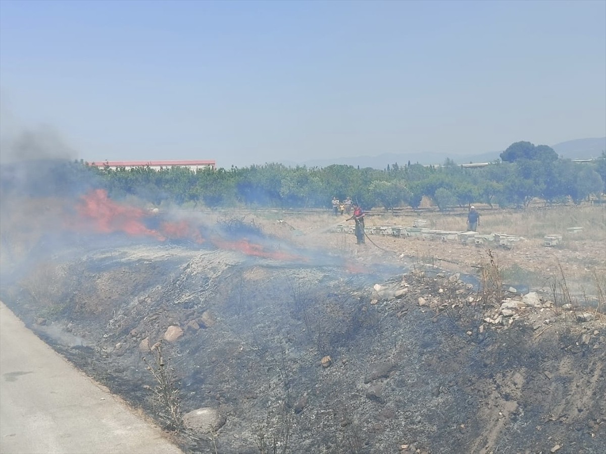 İzmir'in Kemalpaşa ilçesindeki boş arazide çıkan yangın kontrol altına alındı.