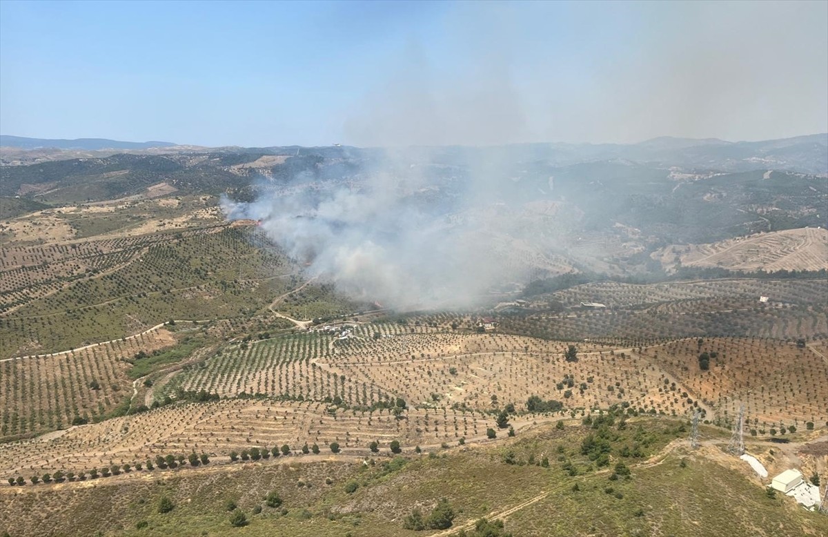 İzmir'in Seferihisar ilçesinde otluk alanda çıkan yangına havadan ve karadan müdahale...