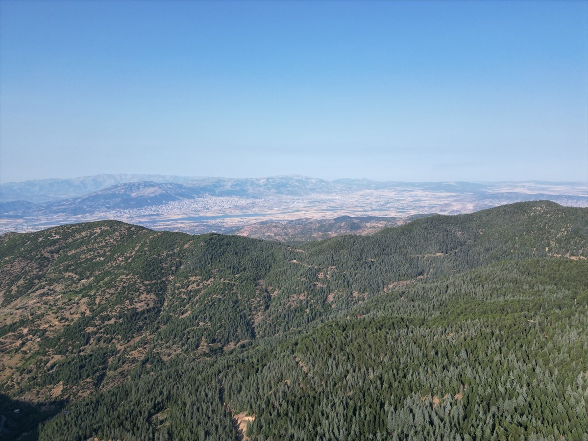  Kahramanmaraş'ın Onikişubat ilçesi sınırlarında yer alan Yavşan Yaylası, Kurban Bayramı tatilinde...
