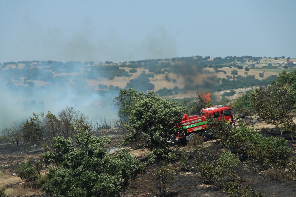 Kırklareli'nin Beypınar köyü yakınlarında ceviz bahçesinde çıkan ve ağaçlık alana sıçrayan yangın...