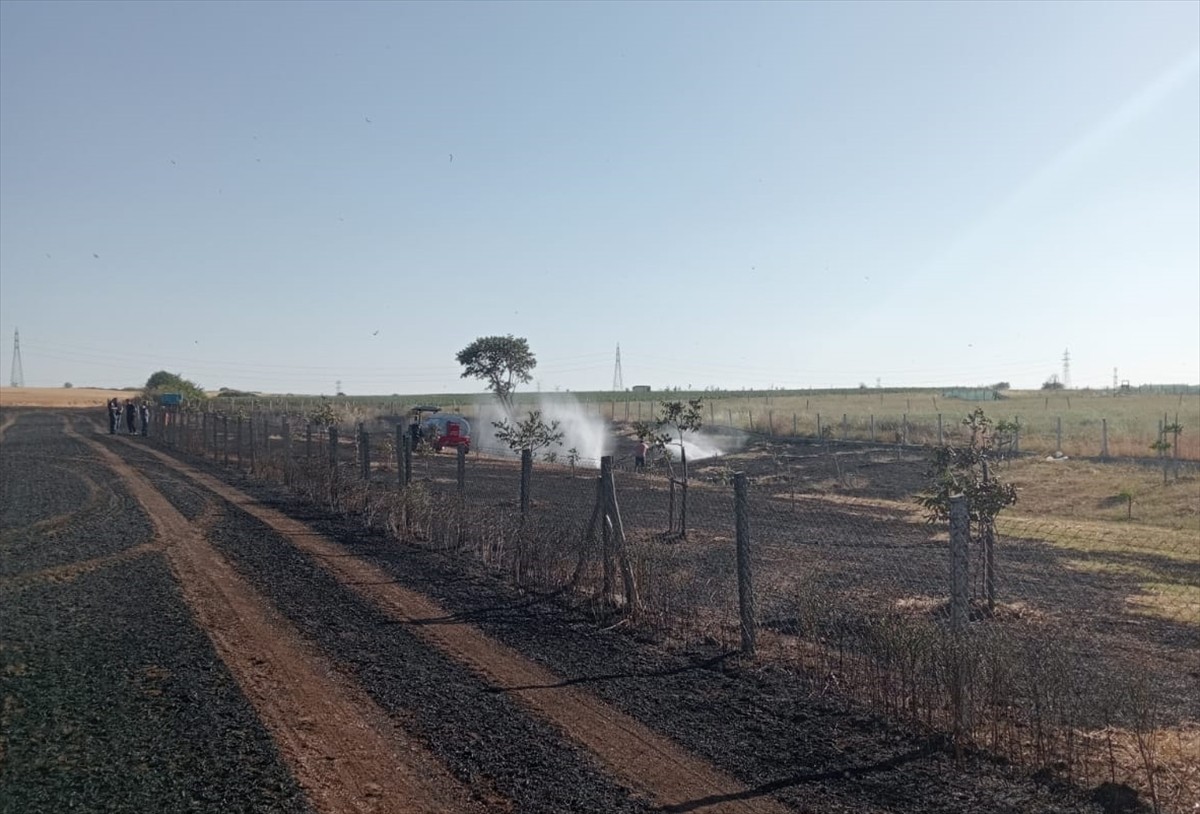Kırklareli'nin Vize ilçesinde çıkan yangında 12 dekar hasat edilmemiş buğday ekili tarım arazisi...