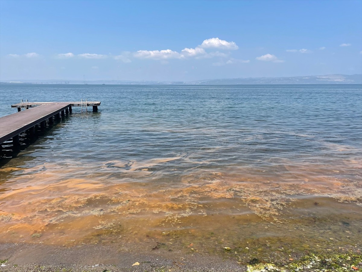 Kocaeli'nin Karamürsel ilçesinde denizin kıyı kesimi turuncuya dönüştü.