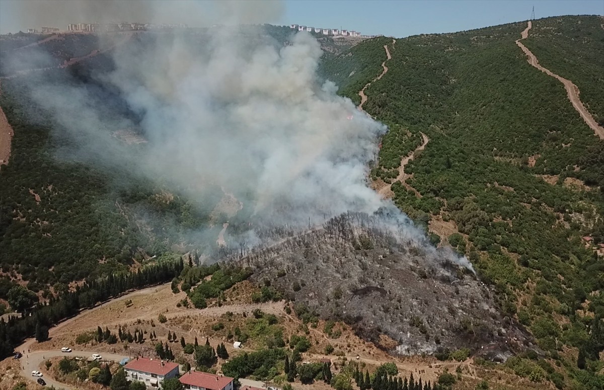 Kocaeli'nin Körfez ilçesinde makilik ve ağaçlık alanda çıkan yangını söndürme çalışmaları...